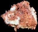 Natural Red Quartz Crystals - Morocco #53060-2